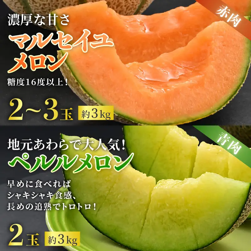 【先行予約】《定期便全2回》佐藤農園のメロン好きにはたまらん！赤肉青肉食べ比べ（マルセイユ・ペルルメロン）計4～5玉 農家直送 秀品 お届け！/ 特産 旬 夏 果物 完熟 メロン 朝どれ 美味しい お取り寄せ ※2027年5月下旬～7月末の間に順次発送 [aw069-b002]