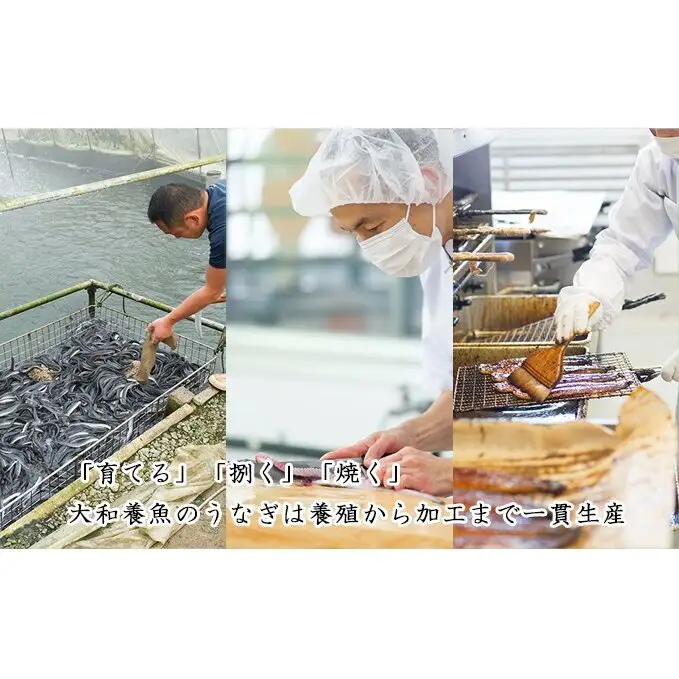 浜名湖うなぎ蒲焼 110g×3尾（計330g） 真空パック 冷蔵 【浜名湖うなぎ・国産うなぎ】 うなぎの蒲焼き 土用の丑の日 和食 魚料理 お酒のあて つまみ 手焼き 