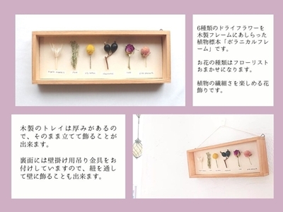 植物標本 ボタニカルフレーム フローリスト お任せ♪ ／ HANARA ナチュラル 自然 花 ギフト 母の日 女性 奈良県 宇陀市 誕生日 お祝い 敬老の日 感謝 結婚祝い 還暦 プロポーズ お供え 花ケース入り ふるさと納税 誕生日 お祝い 敬老の日 感謝 結婚祝い 還暦 プロポーズ お供え 花ケース入り 誕生日 お祝い 敬老の日 感謝 結婚祝い 還暦 プロポーズ お供え 花ケース入り 誕生日 お祝い 敬老の日 感謝 結婚祝い 還暦 プロポーズ お供え 花ケース入り