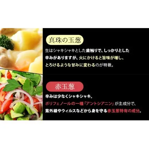 真珠の玉葱 特別栽培Lサイズ5kg(赤玉葱5個入り)≪海のミネラルで育てた特別栽培玉葱≫【50108】
