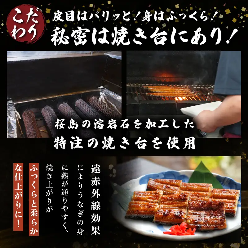 職人 手焼き うなぎ蒲焼 3尾 計390g以上 鰻 魚介類 伝統の味 秘伝のタレ 厳選 国産 ウナギ おかず 食品 加工品 真空パック 冷蔵 人気 おすすめ うな重 うな丼 惣菜 お土産 ひつまぶし うなぎ寿司 お祝い 贈り物 ギフト 贈答 プレゼント 宮崎県 日南市 送料無料_EC6-23