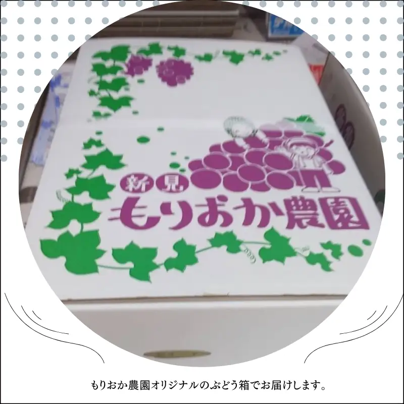 ピオーネ 約2kg 3～4房 岡山県新見市 もりおか農園 よろこびぶどう 【先行予約 2026年9月上旬から順次発送】