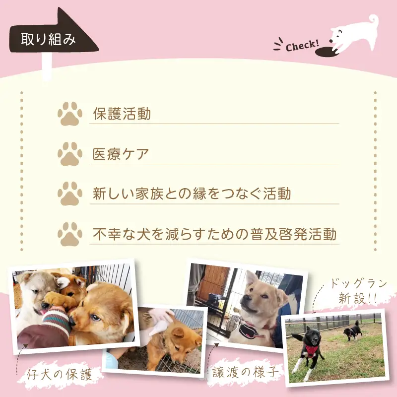 【野犬の保護活動】 1000円分 動物 犬 返礼品なし_H0039-001