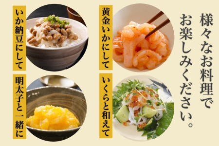 道水 いかそうめん 5人前 400g 刺身用 冷凍 鮮度抜群 専用タレ おろし生姜付き 小分けパック 便利 イカソーメン イカ 刺身 イカ刺し ご自宅用 贈答用 化粧箱入り 新鮮 おかず お酒に合う 酒の肴 おつまみ 北海道 函館 送料無料 お取り寄せグルメ_HD108-011
