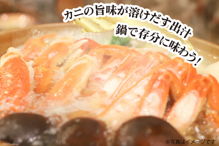 【能登半島 漁協直送！】活 加能ガニ 1尾(大サイズ)計 700g 前後