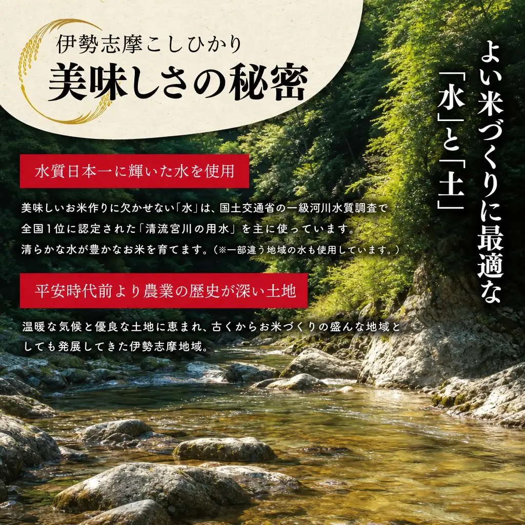 お米【2026年8月後半発送】伊勢志摩コシヒカリ20kg 米 D-68