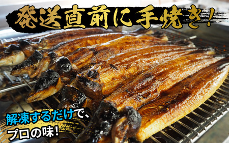 国産 活うなぎ蒲焼 有頭 約270g 2尾 2～4人前《ご寄付後、発送直前にひとつひとつ手焼き！》 [C-044001]