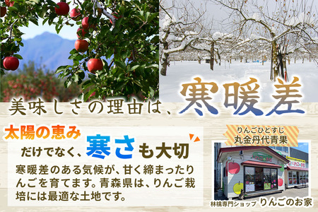[訳あり] りんご サンふじ 3kg (9玉から12玉入り 3kg 1箱)  見た目にわけあり 味はそのまま [0838]