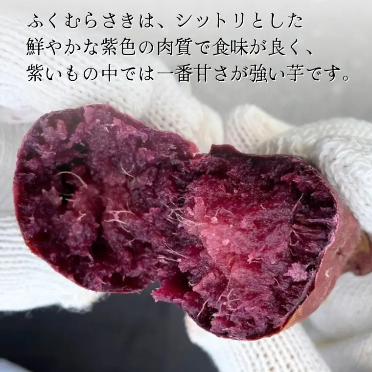 《 2026年 収穫分 》 ふくむらさき 約 5kg (茨城県共通返礼品 行方市) 先行予約 渋谷農園 国産 茨城県 桜川市 さつまいも サツマイモ いも 芋 新芋 焼き芋 やきいも 野菜 旬 人気 おやつ 自宅用 家庭用 [DT003sa]