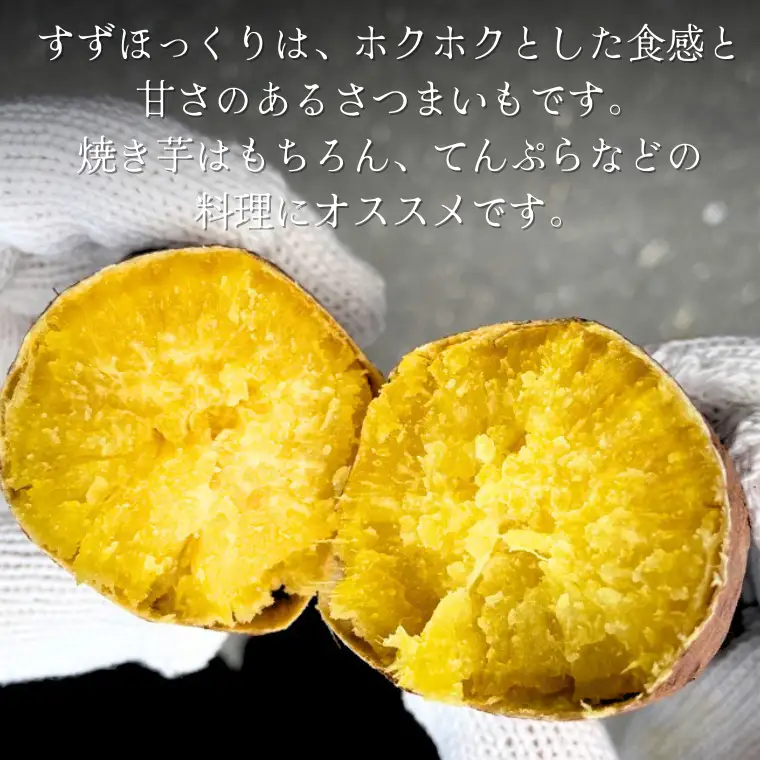 《 2026年 収穫分 》 すずほっくり 約 5kg (茨城県共通返礼品 行方市) 先行予約 渋谷農園 国産 茨城県 桜川市 さつまいも サツマイモ いも 芋 新芋 焼き芋 やきいも 野菜 旬 人気 おやつ 自宅用 家庭用 [DT005sa]