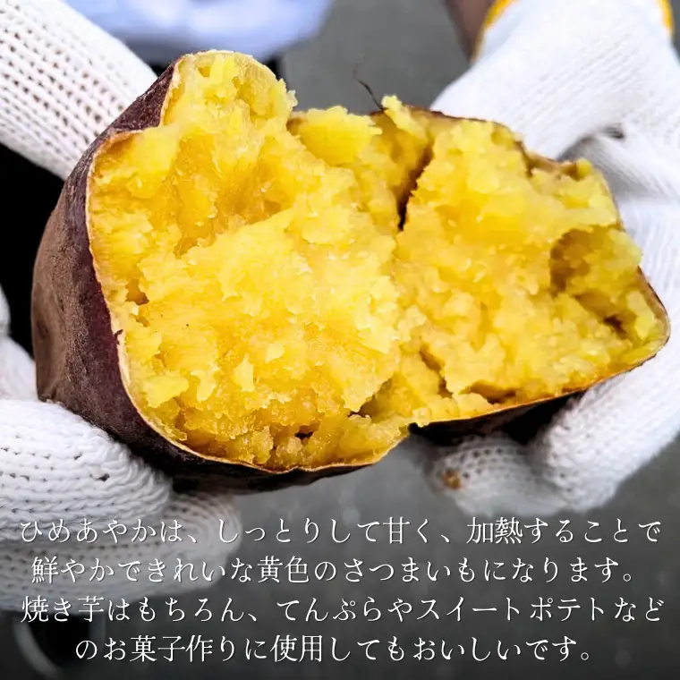 《 2026年 収穫分 》 ひめあやか 約 5kg (茨城県共通返礼品 行方市) 先行予約 渋谷農園 国産 茨城県 桜川市 さつまいも サツマイモ いも 芋 新芋 焼き芋 やきいも 野菜 旬 人気 おやつ 自宅用 家庭用 [DT007sa]