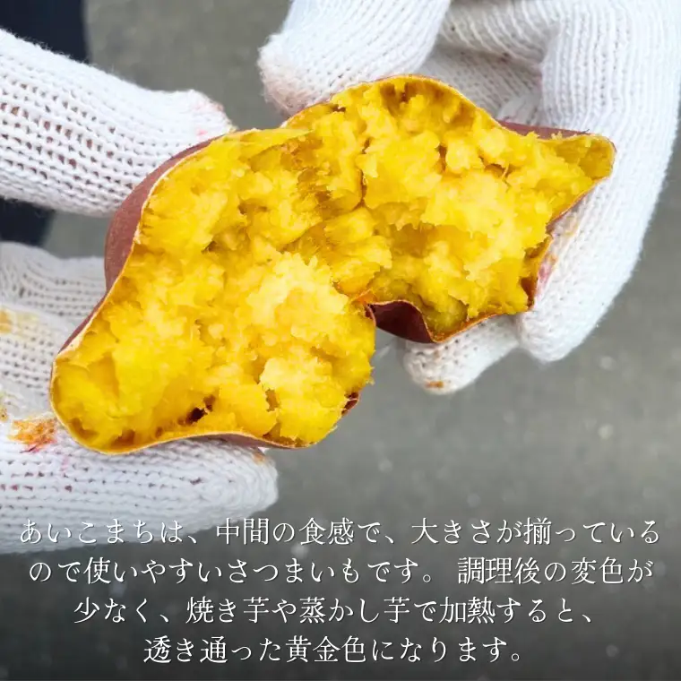 《 2026年 収穫分 》 あいこまち 約 10kg (茨城県共通返礼品 行方市) 先行予約 渋谷農園 国産 茨城県 桜川市 さつまいも サツマイモ いも 芋 新芋 焼き芋 やきいも 野菜 旬 人気 おやつ 自宅用 家庭用 [DT014sa]