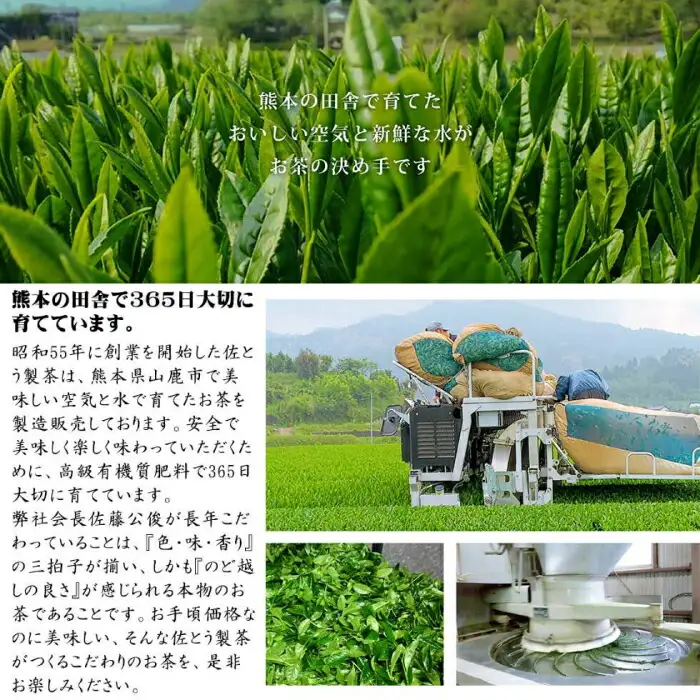 コラーゲン入り 粉末茶 2袋セット 【有限会社 佐とう製茶】[ZAS004]