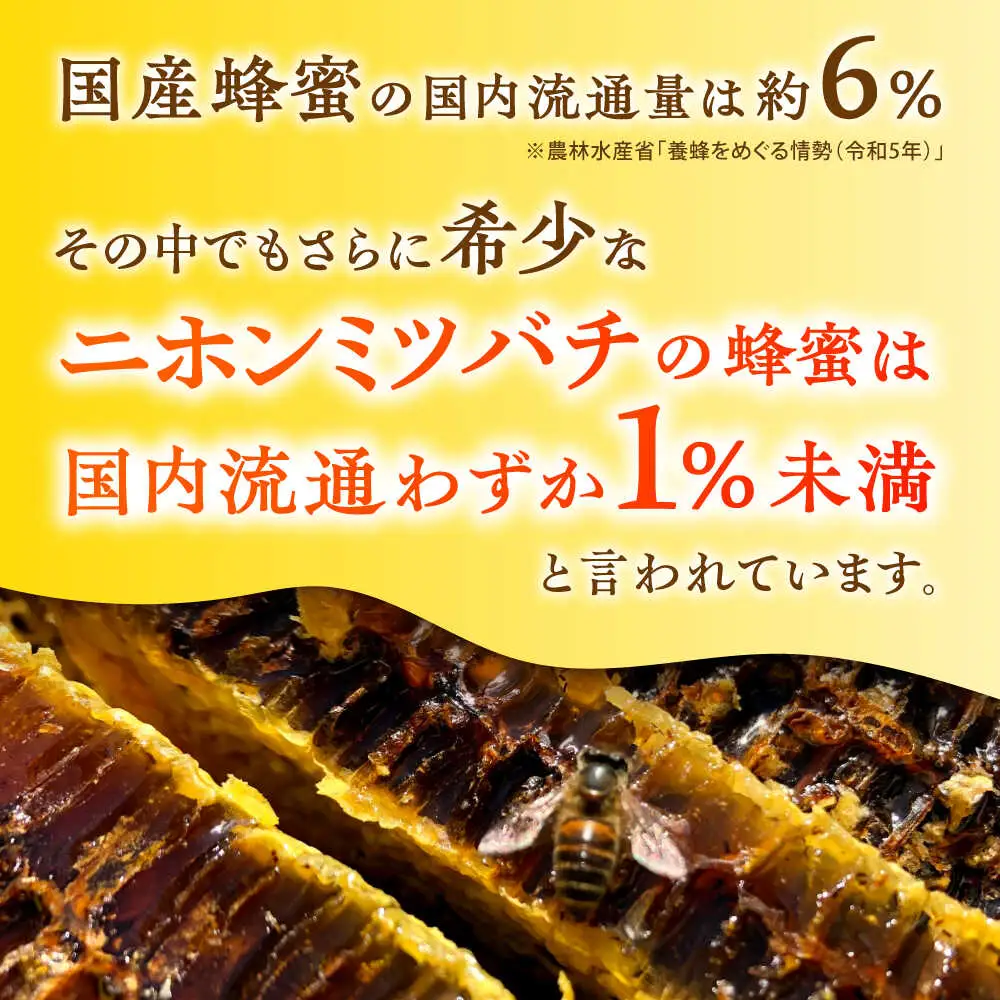 日本みつばち菊鹿約405g【山麓はっち】[ZBM010]