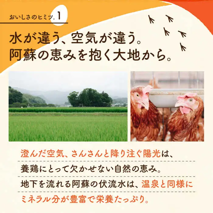 白たまごM玉卵90個(85個＋5個割れ保証)卵タマゴZCA001