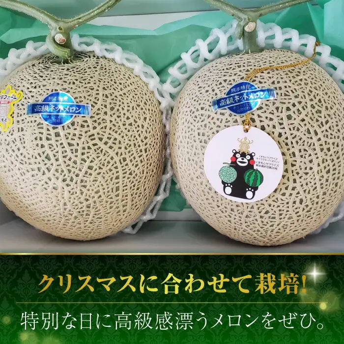 【先行予約】年内発送 クリスマスメロン セット【株式会社 前田ファーム】[ZCM004]