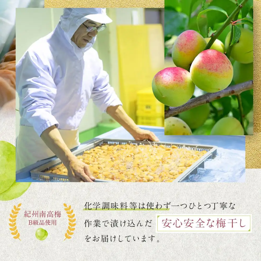 しそ漬梅干し 紀州南高梅 700g ( 350g × 2 ）塩分 約15％ ご自宅の郵便受けにお届け  ご家庭用