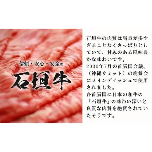 【合計1.5kg】石垣牛 100% 極めハンバーグ 150g×10個  TM-6