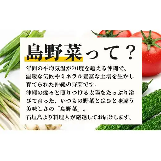 【定期便 12ヶ月】料理人が厳選した島野菜 (6～10品目×12回)   TM-8