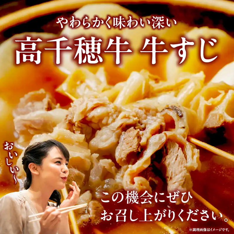 宮崎県産黒毛和牛A4等級以上 高千穂牛すじ 500g×2パック 計1kg牛肉 肉 お肉 精肉 ブランド牛 国産牛 黒毛和牛 国産 国産牛肉 料理 煮込み料理 カレー おでん 牛すじ煮込み 牛すじカレー 普段使い グルメ お取り寄せ 小分け ギフト プレゼント 宮崎県 高千穂町_Tk002-066