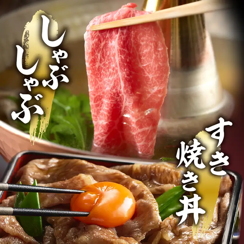 宮崎県産黒毛和牛A4等級以上 高千穂牛ウデスライスすき焼き用 500g ウデスライス 牛肉 肉 お肉 精肉 A4 ブランド牛 国産牛 黒毛和牛 国産 国産牛肉 すき焼き しゃぶしゃぶ 鍋 すきしゃぶ 料理 普段使い 冷凍_Tk002-067