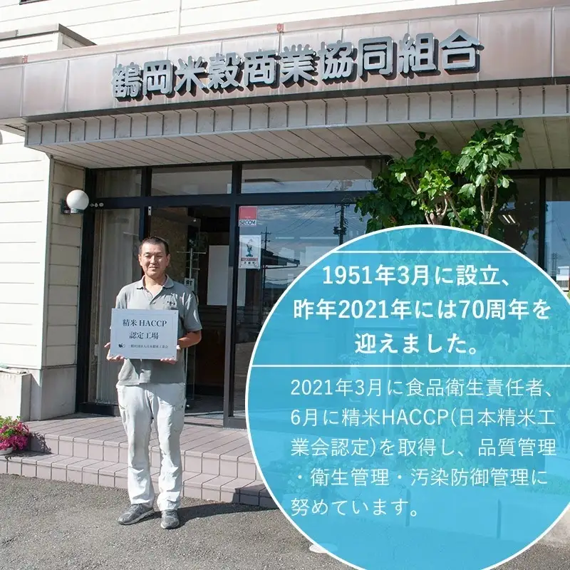 【令和7年産】 雪若丸 10kg（5kg×2） 山形県庄内産　鶴岡米穀商業協同組合 | ゆきわかまる 国産 ブランド米 米どころ 庄内米 大粒 もっちり 食べ応え 抜群 新食感 和食 洋食 中華 ピッタリ 冷めても おいしい おにぎり お弁当 おすすめ 人気 お取り寄せ 返礼品