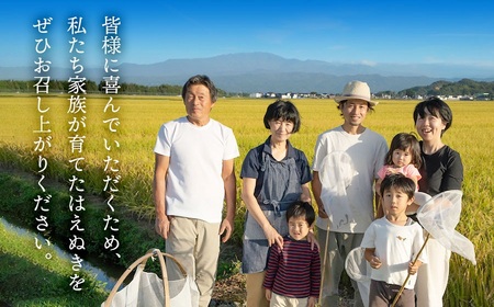 【令和8年産 新米】 富樫農園のはえぬき玄米　5kg 山形県鶴岡市産　K-827