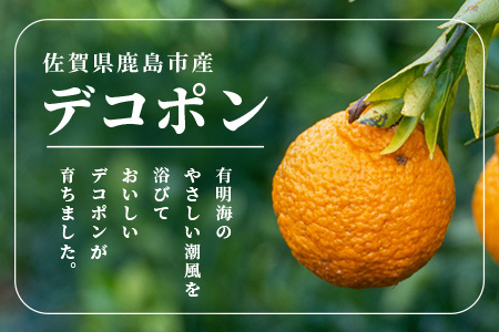 【予約受付】基準クリアの高級柑橘【デコポン】約5kg 不知火 しらぬい でこぽん みかん 蜜柑 ミカン オレンジ 柑橘 フルーツ 果物 贈り物 贈答 プレゼント 高級 ブランド 限定 ギフト B-672