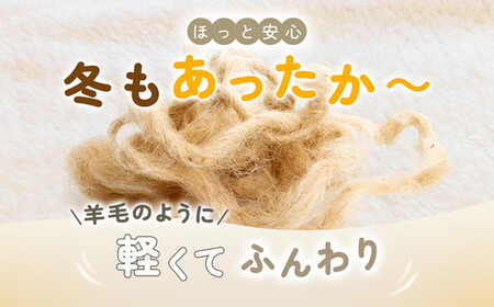 日本製 丸洗いOK マイヤー毛布 シングル ベージュ 1枚  (ニューマイヤー毛布) MO-321BE [3675]
