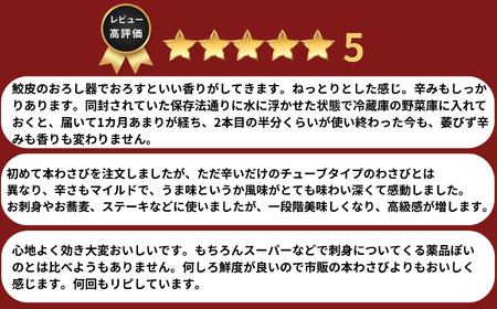 本わさび「真妻わさび」Sサイズ２本セット 約110ｇ 北アルプスの湧水が育てた山の宝石 ワサビ 