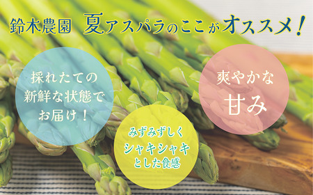＜北海道産 夏採れグリーンアスパラ 2㎏＞シャッキリみずみずしい味わい！！ 北海道 北海道産 国産 産地直送 乙部町 旬 新鮮 農家直送 あすぱら アスパラガス 野菜 冷蔵配送 L以上 お取り寄せ 送料無料
