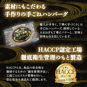 鹿児島黒牛黒豚ハンバーグ(8個・計1.04kg) 国産 九州産 鹿児島県産 お肉 ぶた ブタ 豚肉 牛肉 ミンチ パック 小分け 冷凍 冷凍ハンバーグ おかず 惣菜 調理 お弁当【さつま屋産業】_y436