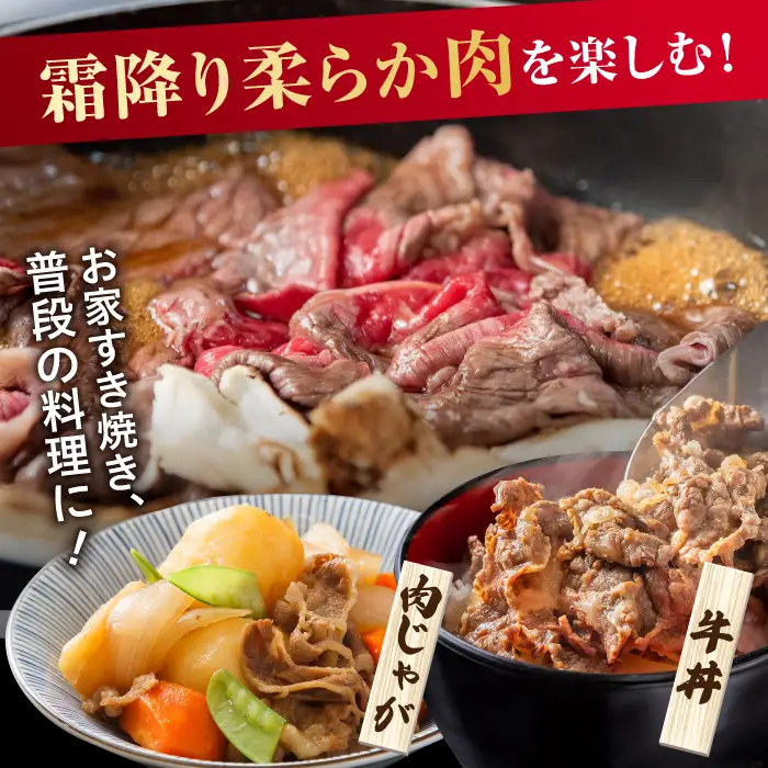3回定期便 訳あり佐賀産和牛 切り落とし 600g 牛肉定期便FDB027]