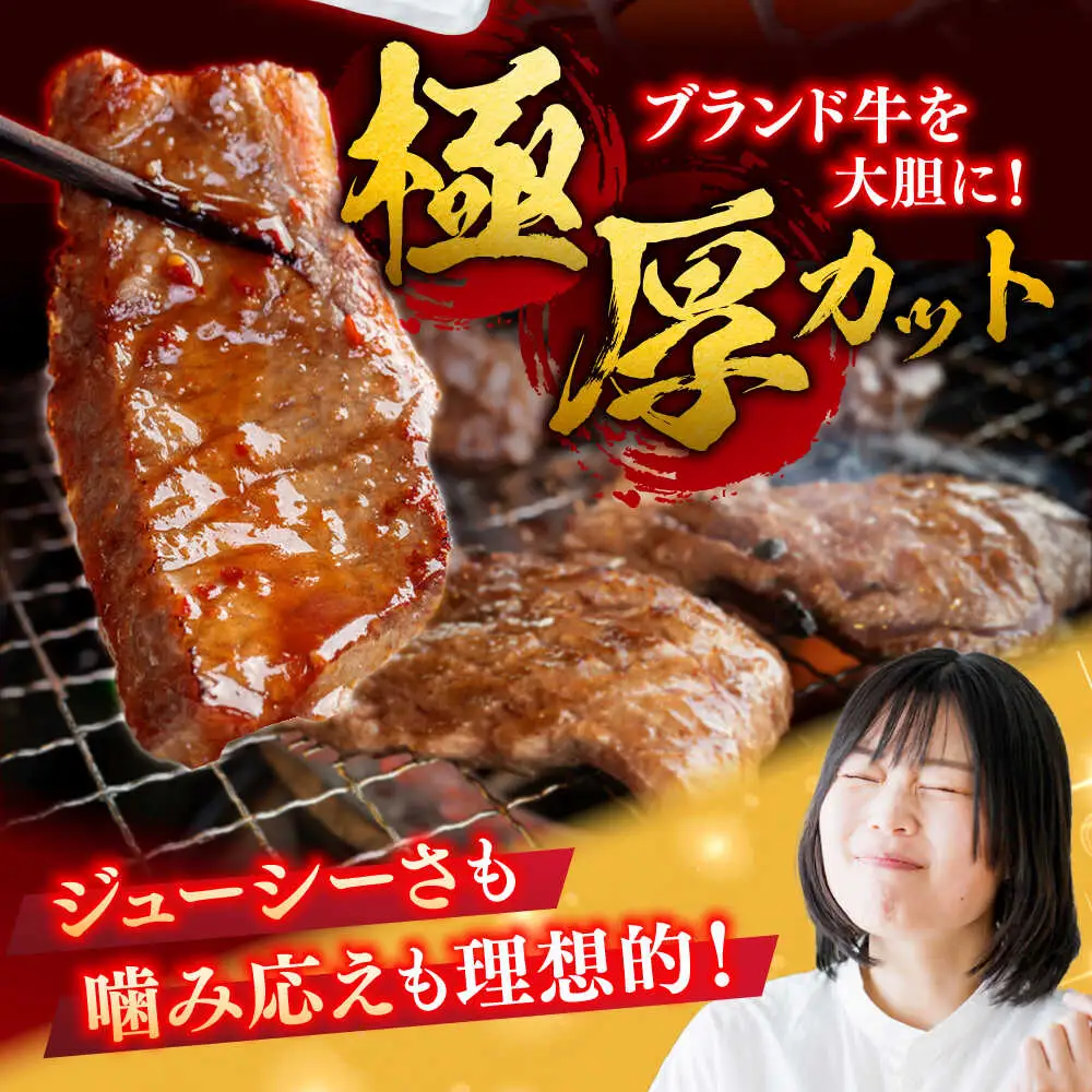 【6回定期便】佐賀牛 焼肉用 計3kg (500g×6回)  ※バラ・肩ロース・モモのいずれかの部位※しゃぶしゃぶ すきやき[FDB034]