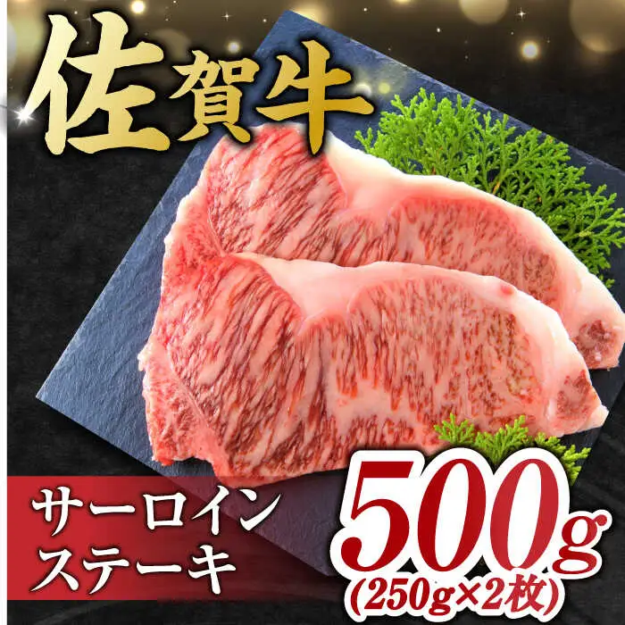 【6回定期便】艶さし！ 佐賀牛 ヒレステーキ＆サーロインステーキ 食べ比べ セット 計4.8kg  (ヒレ150g・サーロイン250g×各2枚×6回) 吉野ヶ里町 佐賀牛 ヒレ サーロイン ステーキ 牛肉 肉 ブランド牛 [FDB037]