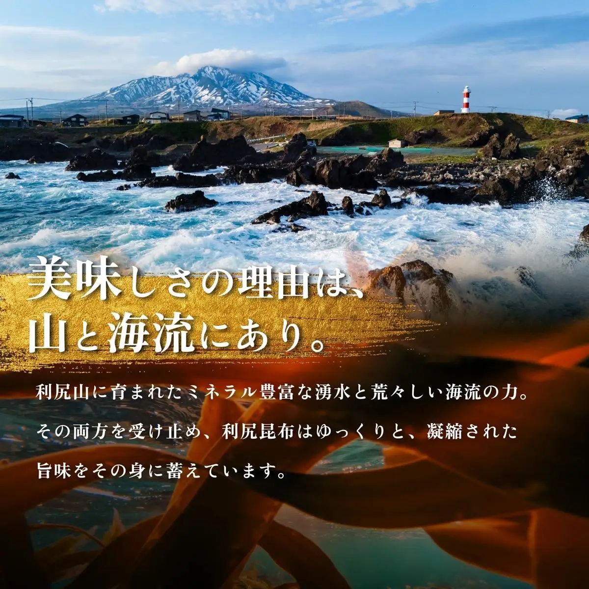 利尻島名産 利尻とろろ昆布 30g×6袋｜北海道産 海藻  お鍋 和食 湯豆腐 海産物 利尻島 [1020001]