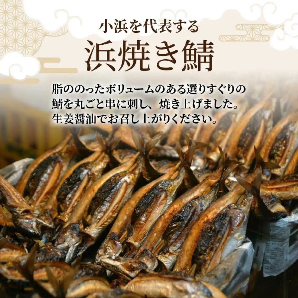 浜焼き鯖 400g  1尾 【配送不可地域：離島】 小浜市 / 朽木屋 [BFCM004] 