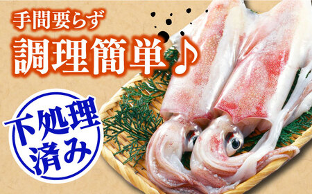 【対馬産】 剣先 イカ 生 冷凍（ 訳アリ ）3枚  [WAB012] いか 剣先いか あかいか シロイカ ケンサキイカ