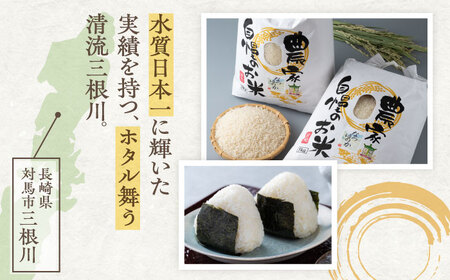 【全6回定期便】対馬産 なつほのか 5kg×2「ほたる舞う三根川の米」 米 お米 ご飯 ごはん 白米 10kg 10キロ 産地直送 ランキング 送料無料 贈答用 定期便  九州 長崎 [WAJ013]