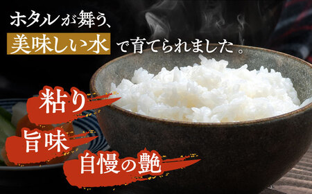 【全12回定期便】 特A 対馬産 にこまる 5kg×2「ほたる舞う三根川の米」  米 お米 ご飯 ごはん 白米 10kg 10キロ 産地直送 贈答用 特A 定期便 [WAJ014]