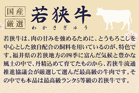 若狭牛+ふくいポークしゃぶしゃぶセット（若狭牛上モモ（A5ランク）+ふくいポーク豚ロース）　各500ｇ