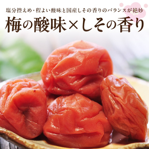 【1093-4】紀州南高梅つぶれ梅 しそ風味1.6kg