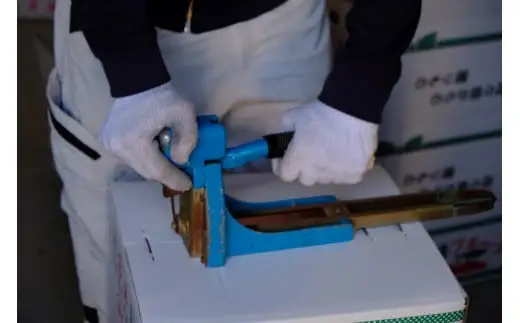 さわやか 河内晩柑 家庭用 7kg 河野農園 さわやか B010-147001