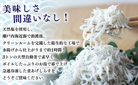 ＜老舗網元 濱田屋の釜あげしらす 計1kg（100g×10袋）＞『1か月以内に順次出荷予定』 減塩 数量限定 化粧箱 簡易包装 選べる 釜揚げ シラス じゃこ 海鮮 海産物 丼 小魚 乾物 小分け カルシウム 国産 マルヨシ水産 愛媛県 西予市【冷凍】 AMS0015