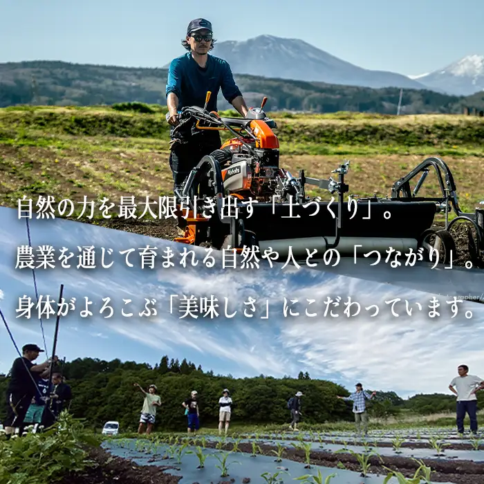[ クール便 / 冷蔵便 ] 【 NAO's FARM 】 生で食べられる とうもろこし × 10本 2026年7月下旬頃から2026年8月中旬頃まで順次発送予定 令和8年度収穫分 株式会社みみずや 元サッカー日本代表 石川直宏 なおもろこし 信州 野菜 甘い トウモロコシ コーン とうきび 産地直送 長野 予約 長野県 飯綱町 [1716]