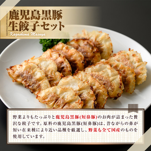 【ふるなびWEEK対象】鹿児島黒豚 餃子 48個 鹿児島ますや 0125145a