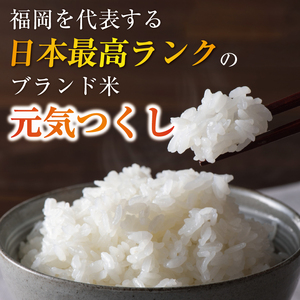 【ふるさと納税】令和8年産 福岡県産 米 食べ比べ＜無洗米＞セット「夢つくし」と「元気つくし」2種類 計20kg入り [a7262] 株式会社 ゼロプラス 【返礼品】添田町 ふるさと納税