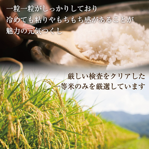 【ふるさと納税】令和8年産 福岡県産 ブランド米「元気つくし」無洗米 10kg [a7258] 株式会社 ゼロプラス 【返礼品】添田町 ふるさと納税