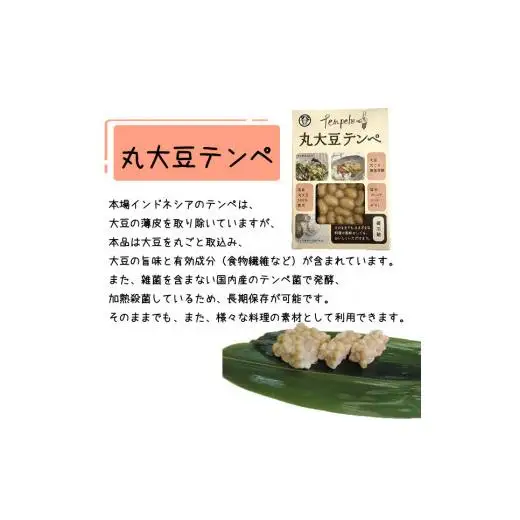 テンペセット（2種10個入り）