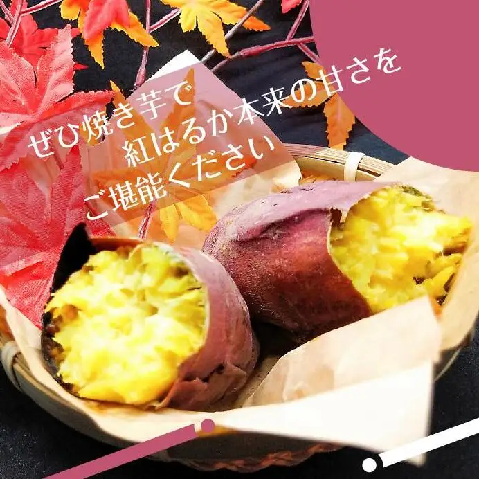 2025年度産 濃厚な甘みさつまいも 紅はるか5kg【茨城県共通返礼品/行方市】【さつまいも サツマイモ 芋 お芋 甘い ねっとり 美味しい 大量 茨城県 北茨城市 】(AK201)